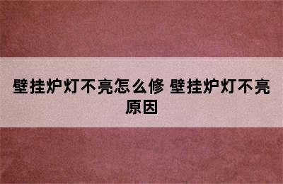 壁挂炉灯不亮怎么修 壁挂炉灯不亮原因